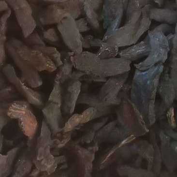 山东菏泽一手货源肉苁蓉品质好价格优对接全国市场欢迎采购