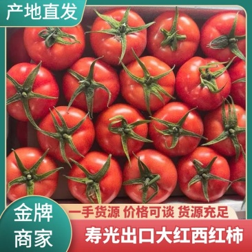 山东大红西红柿专业对接出口，大量有货支持持续发柜。
