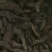 山东菏泽一手货源肉苁蓉品质好价格优对接全国市场欢迎采购