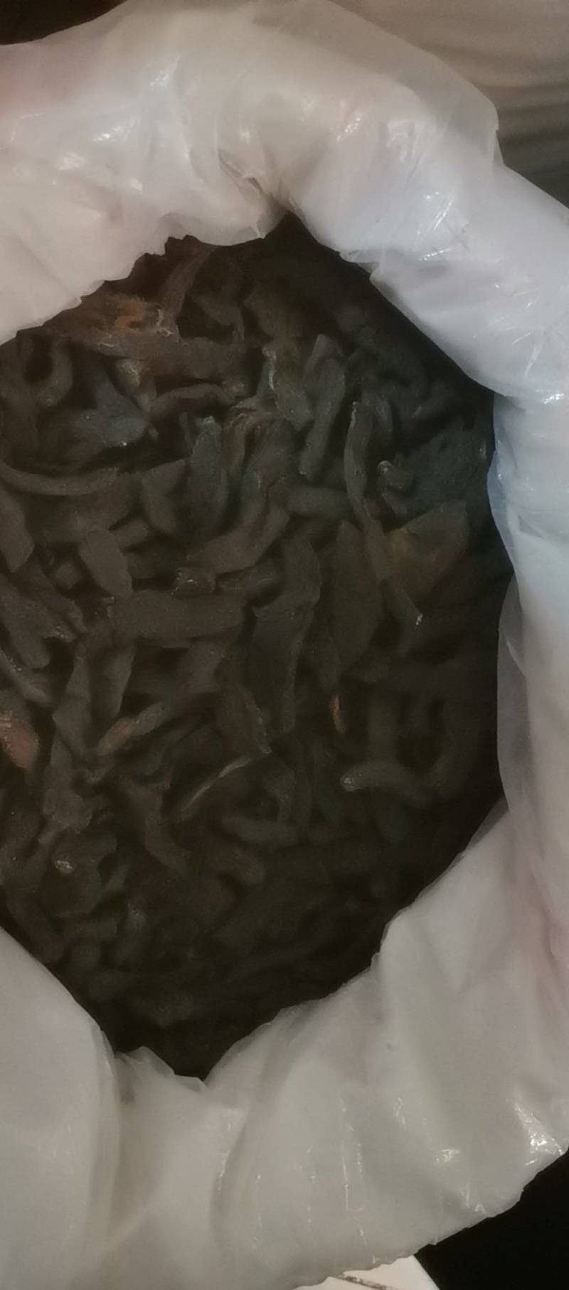 山东菏泽一手货源肉苁蓉品质好价格优对接全国市场欢迎采购