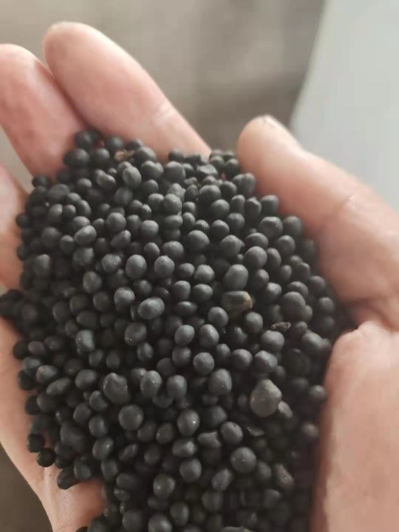 腐植酸生物有机肥料，蔬菜果树专用壮苗生根原厂原证厂家直销