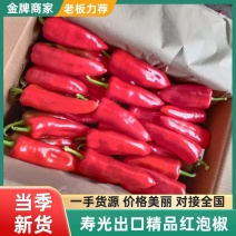 寿光产地泡椒大量上货。国内外，一手货源，可支持持续发柜。