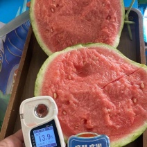 精品麒麟美都发全国货源充足量大从优诚信经营欢迎致电