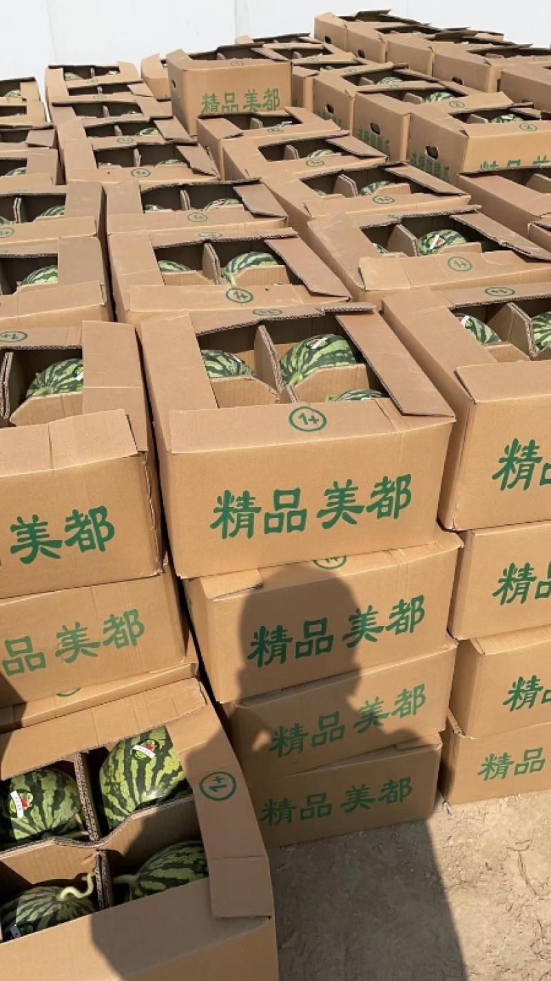 精品麒麟美都发全国货源充足量大从优诚信经营欢迎致电