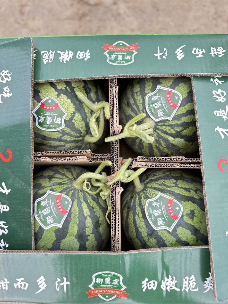 精品麒麟美都发全国货源充足量大从优诚信经营欢迎致电