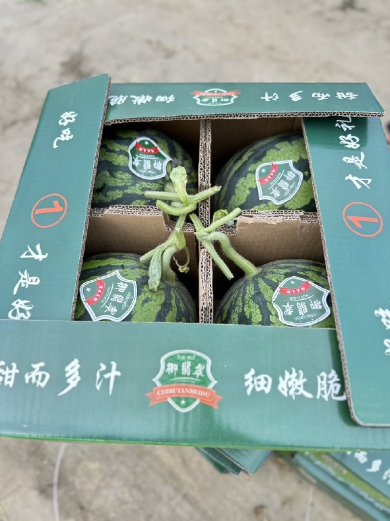 精品麒麟美都发全国货源充足量大从优诚信经营欢迎致电