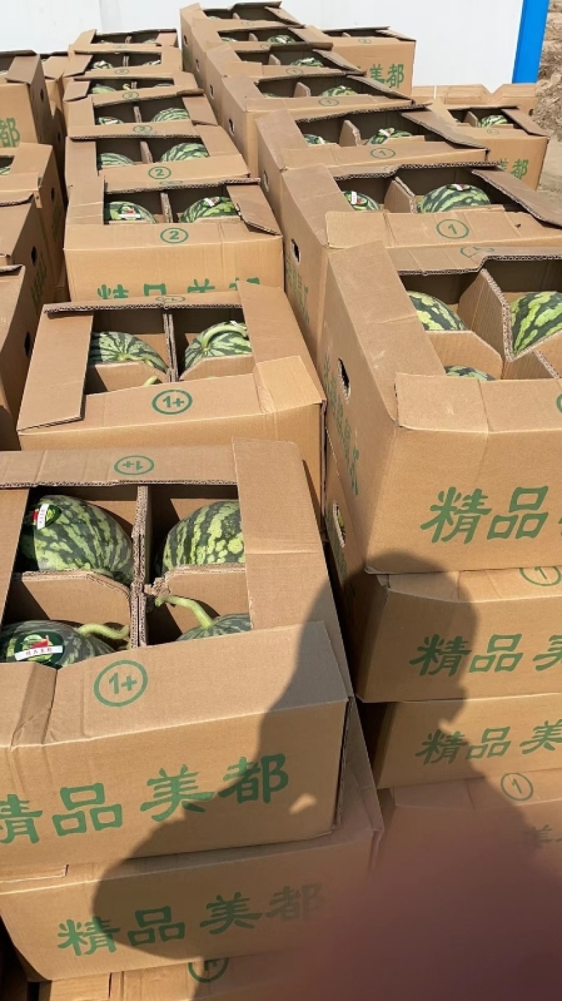 精品麒麟美都发全国货源充足量大从优诚信经营欢迎致电