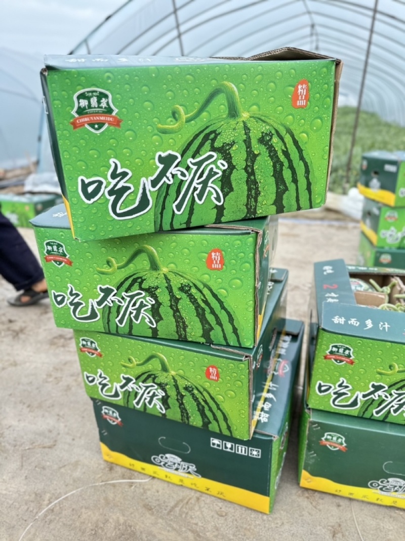 精品麒麟美都发全国货源充足量大从优诚信经营欢迎致电