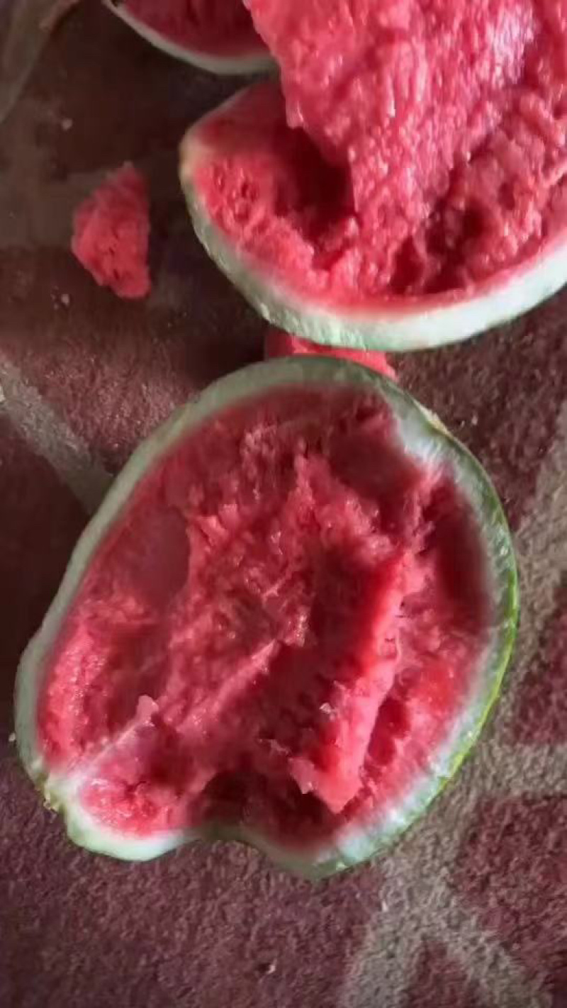 夏邑麒麟大量上货甜度高品质优良可支持全国发货
