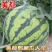 夏邑麒麟大量上货甜度高品质优良可支持全国发货
