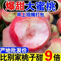 【牛商推荐】新鲜应季露天毛桃大量上市中，可供商超外贸出口
