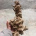 贵州，金刚藤，大量出售，价格优美，品质优美