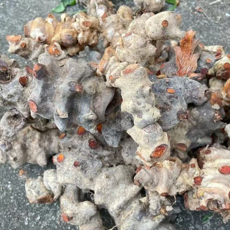 贵州，金刚藤，大量出售，价格优美，品质优美