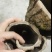 老木杜仲皮，大量上市，品质好，价格实惠，欢迎全国采购致电