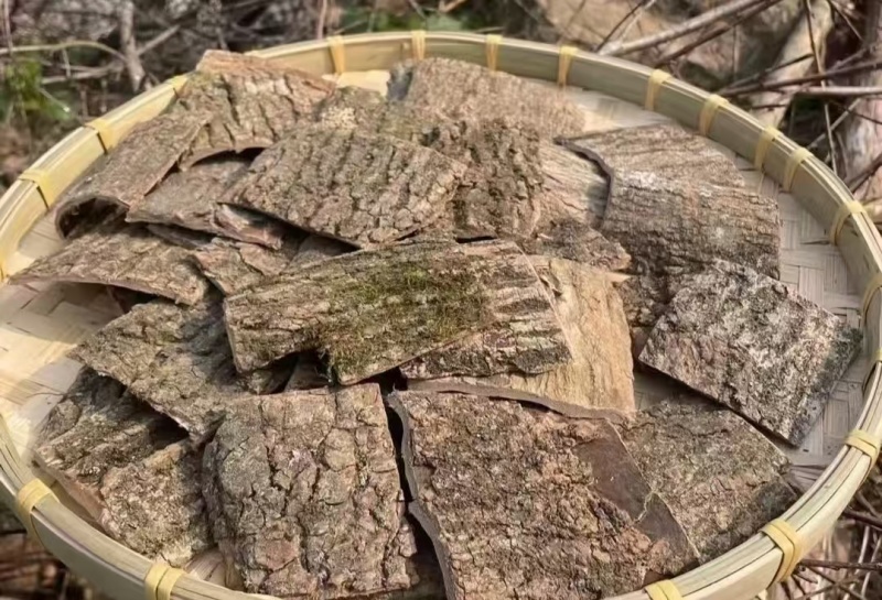 老木杜仲皮，大量上市，品质好，价格实惠，欢迎全国采购致电