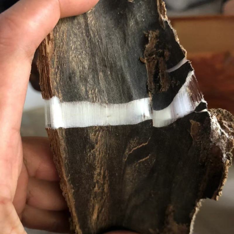 老木杜仲皮，大量上市，品质好，价格实惠，欢迎全国采购致电