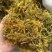 金银花，开花自然晒干无硫，诚信买卖，品质好