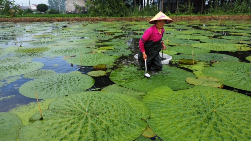 单亲家庭孩子早当家