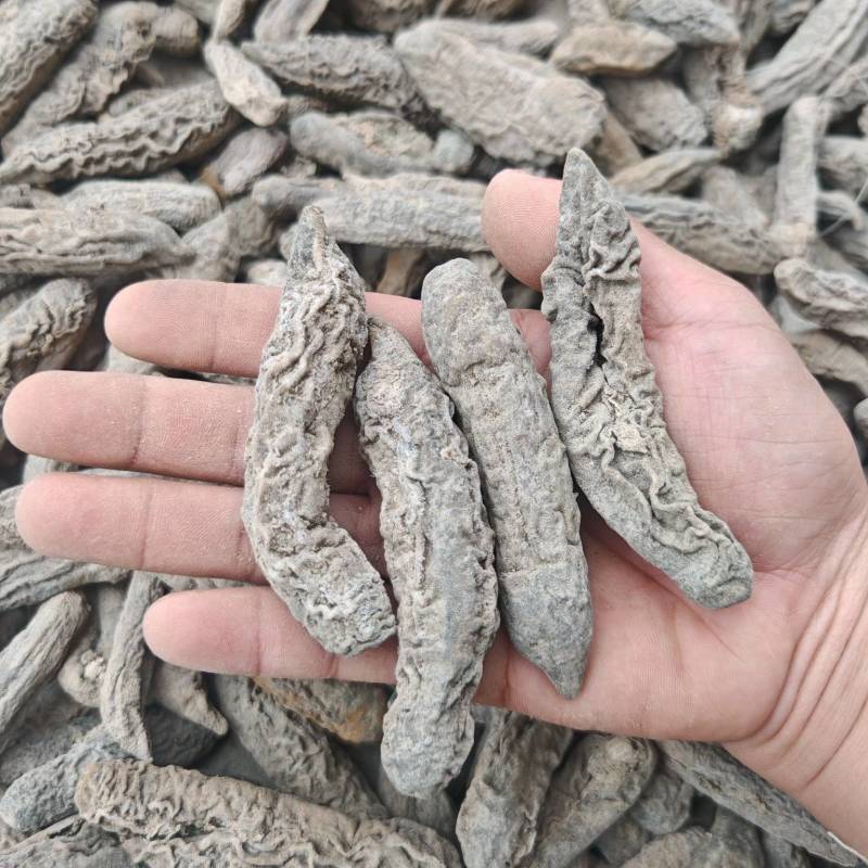 9成干越南60头茄参