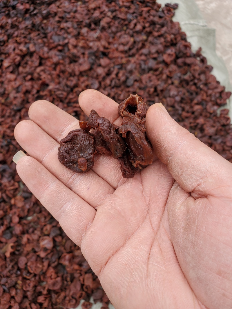 新货荔枝肉荔枝干肉广西荔枝干肉口感软糯香甜