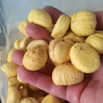 精品油栗仁