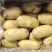 精品土豆