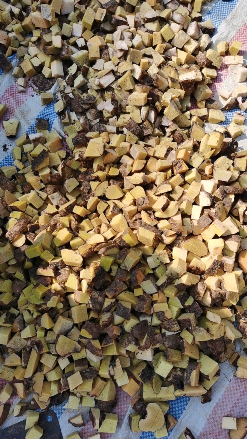 出售珠芽魔芋干片