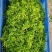 新鲜花上市