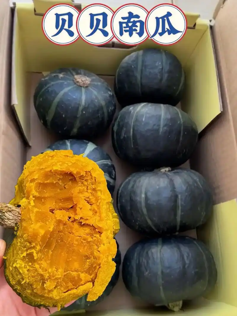 好货推荐贝贝南瓜对接电商市场商超一手货源保证质量