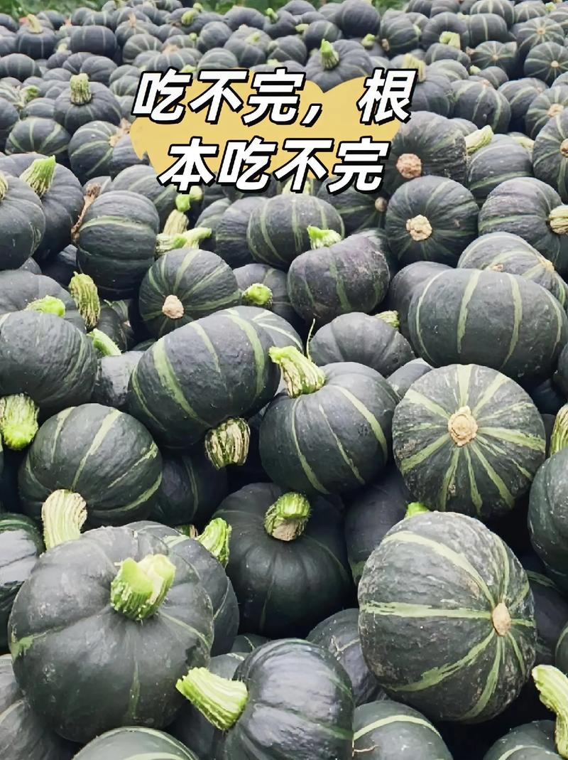 好货推荐贝贝南瓜对接电商市场商超一手货源保证质量