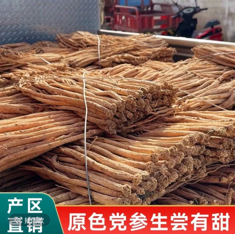 【品质保证】精选甘肃岷县原产地党参新货野生品质保证