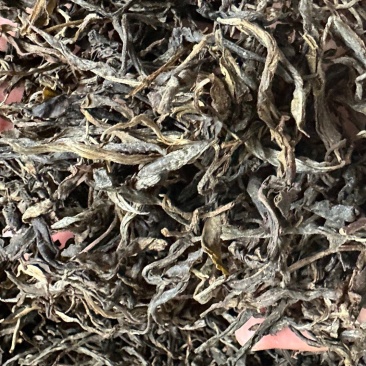 普洱茶