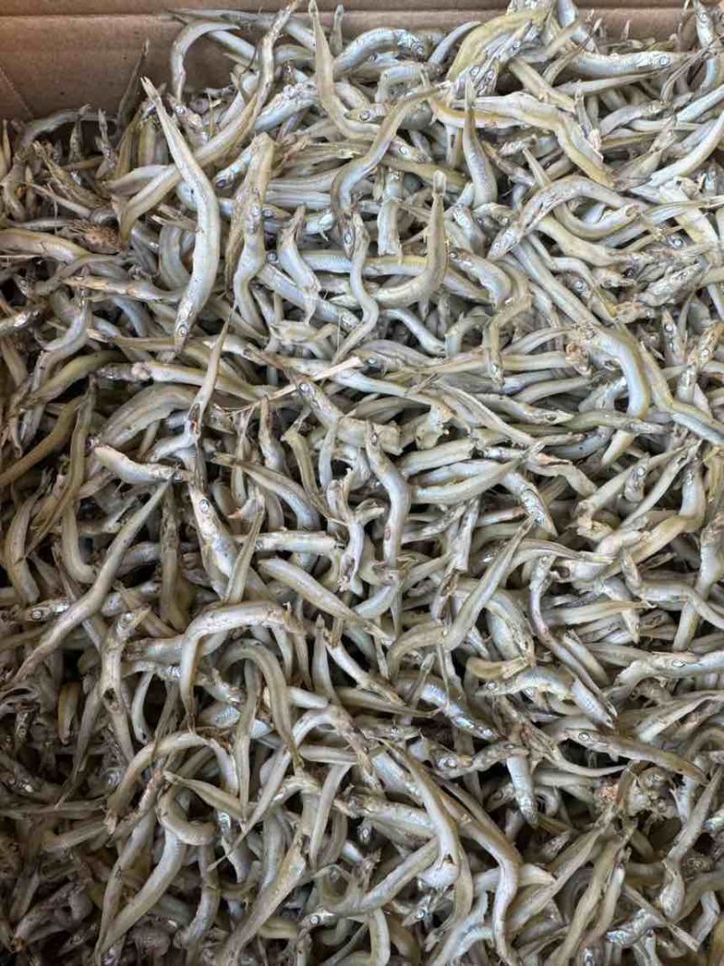 精品银针鱼/面条鱼，质量保证一手货源，价格低供超市电商