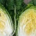 黄心大白菜大量上市中