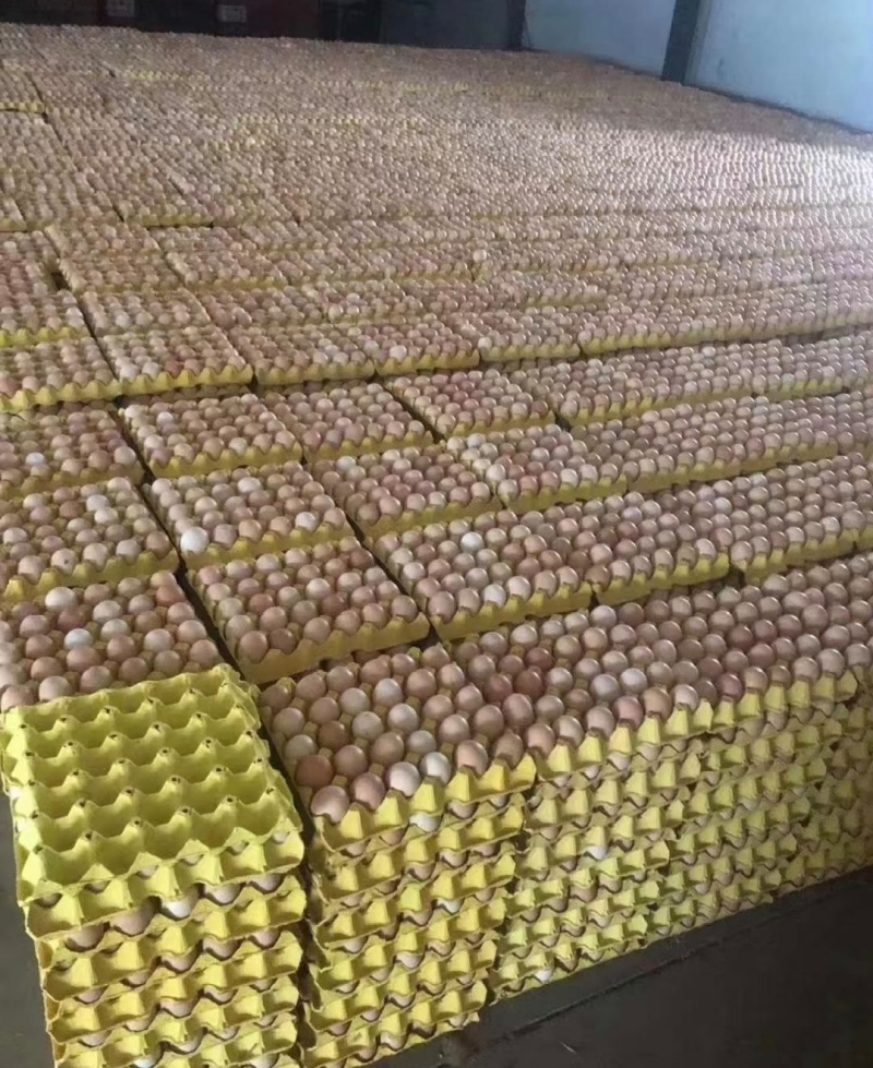 出售农家土鸡蛋，价格实惠，120一件，质量有保障，包售后