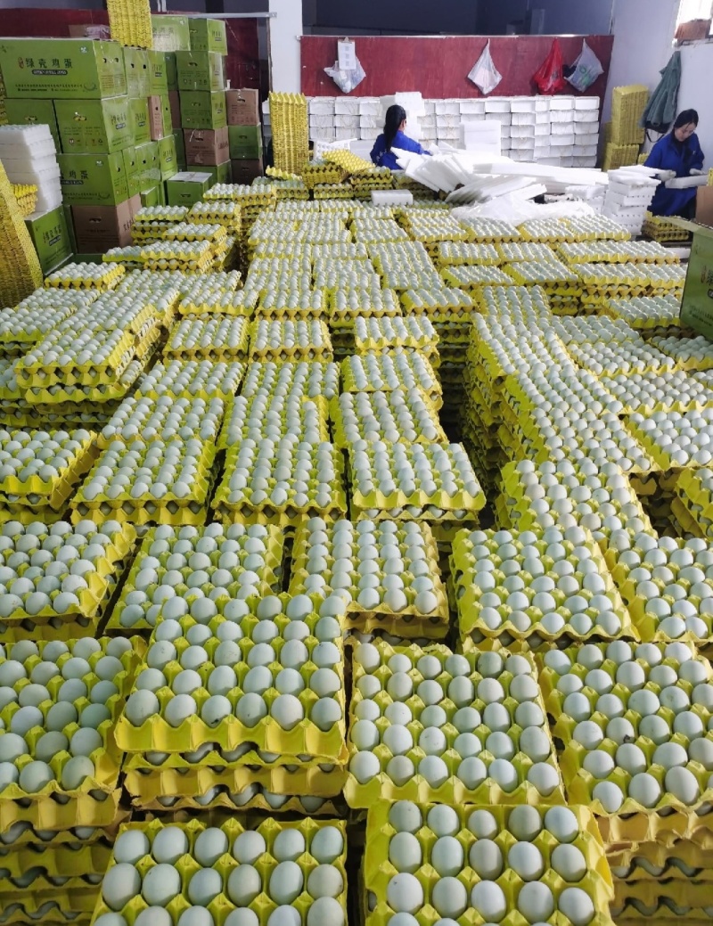 出售农家土鸡蛋，价格实惠，120一件，质量有保障，包售后