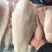 去皮巴沙鱼柳净重20斤每件