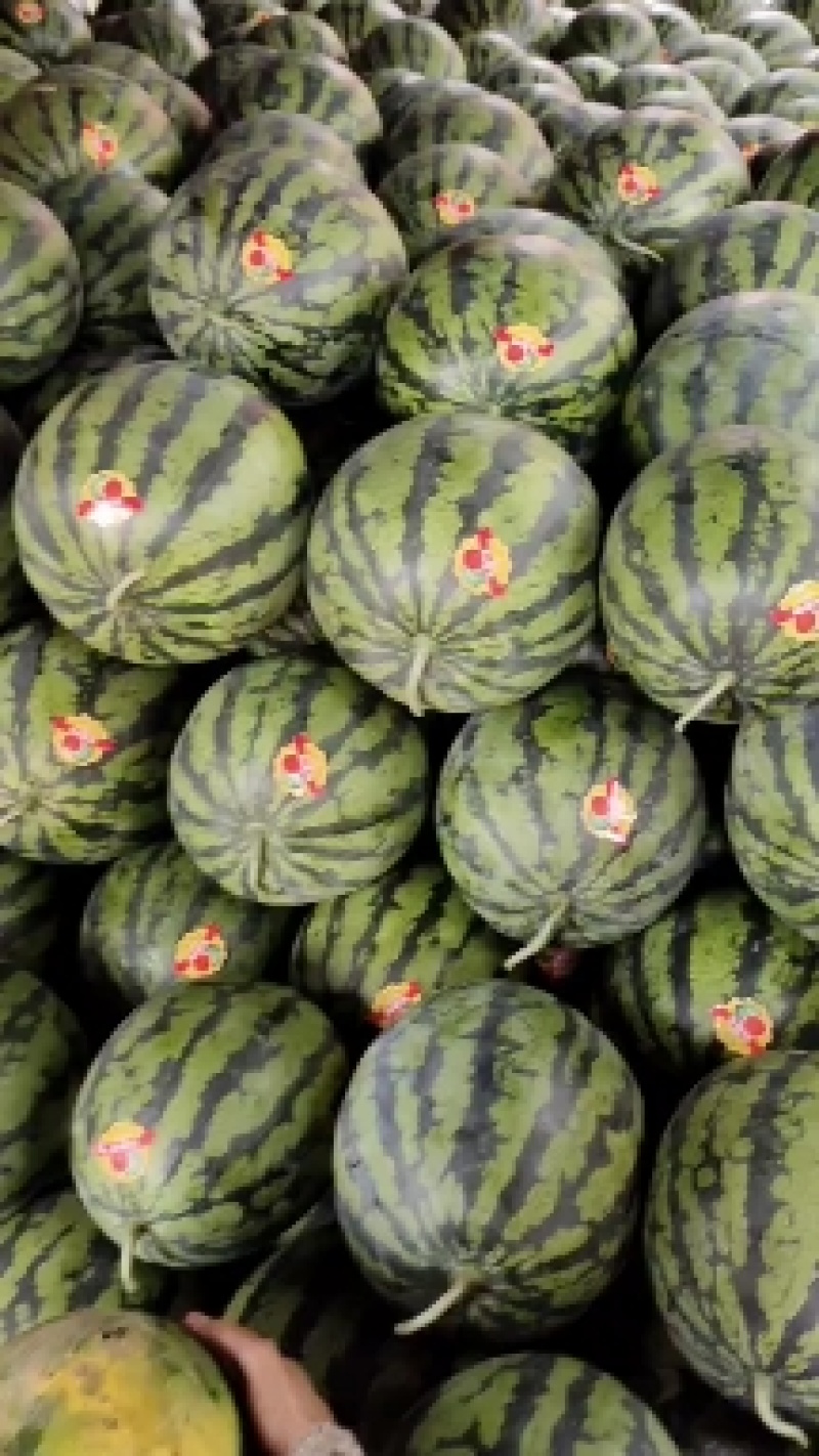 【推荐】广西甜王西瓜大量接单产地直发欢迎来电
