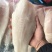 去皮巴沙鱼柳净重20斤每件