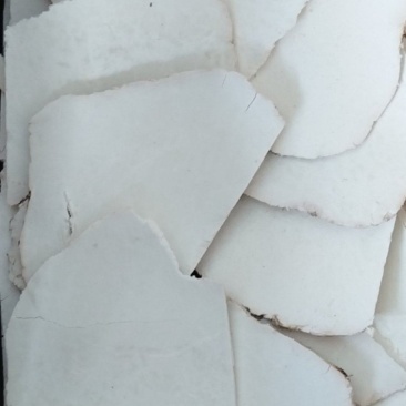 茯苓片