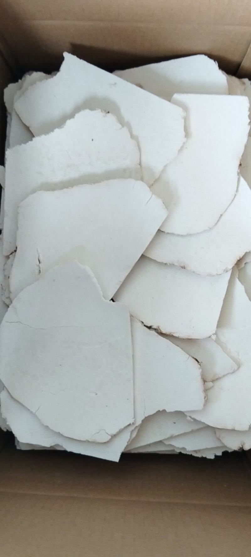 茯苓片