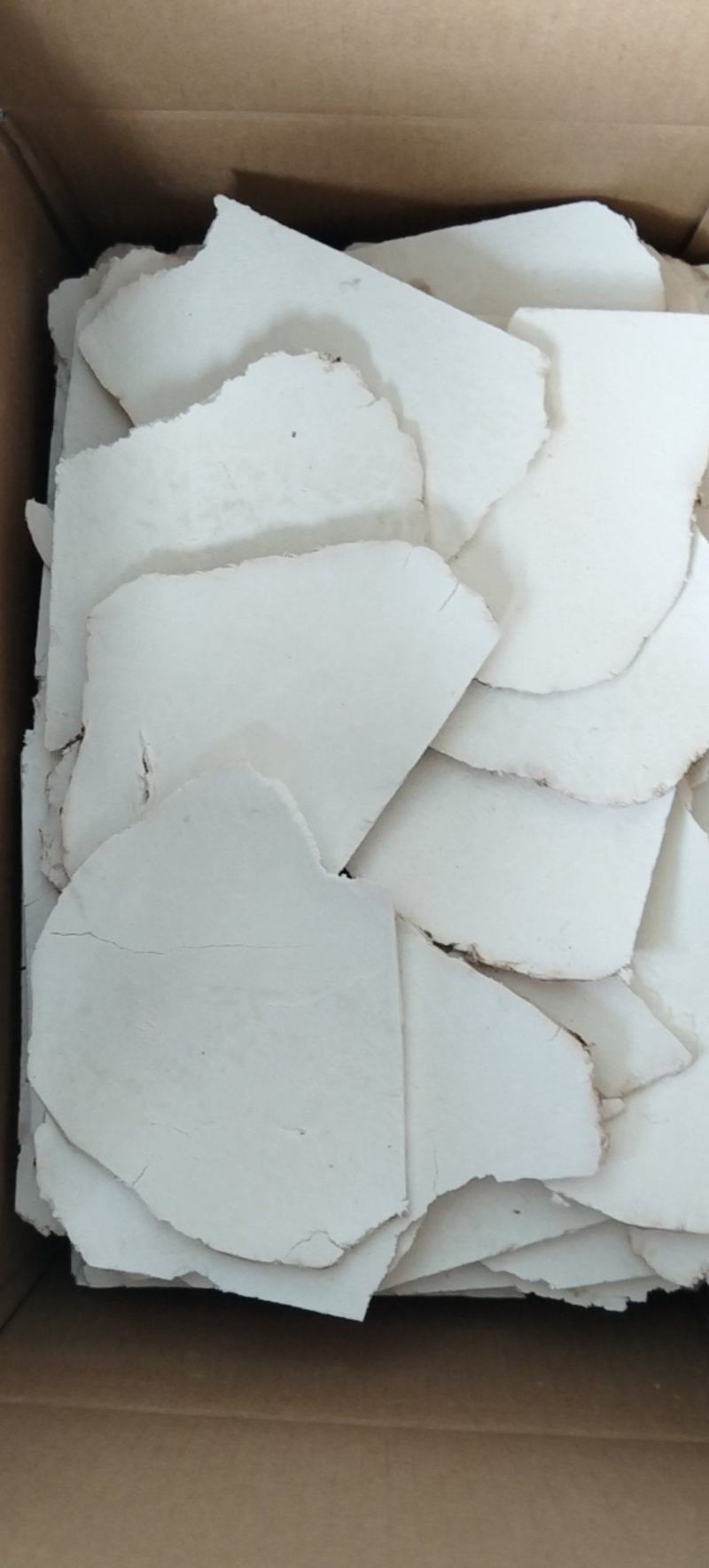 茯苓片