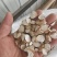 正宗山东山药片无硫熏量大优惠品质保障自然晾晒