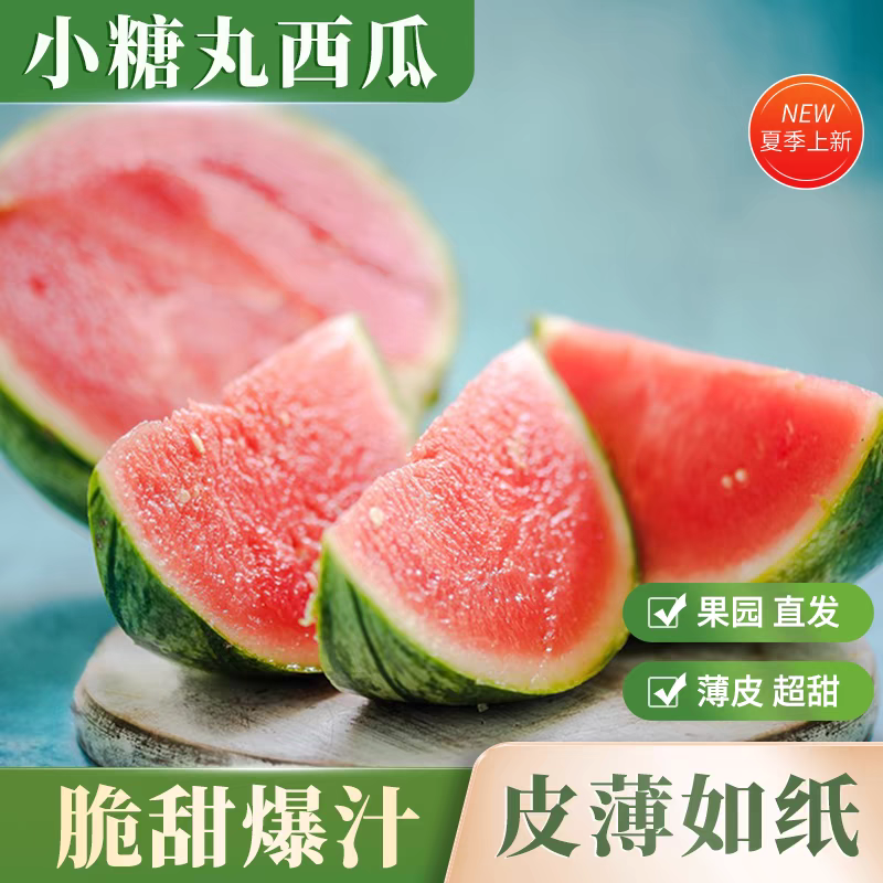 陕西吊兰西瓜/938吊兰西瓜/小糖丸/小吊瓜/全国发货