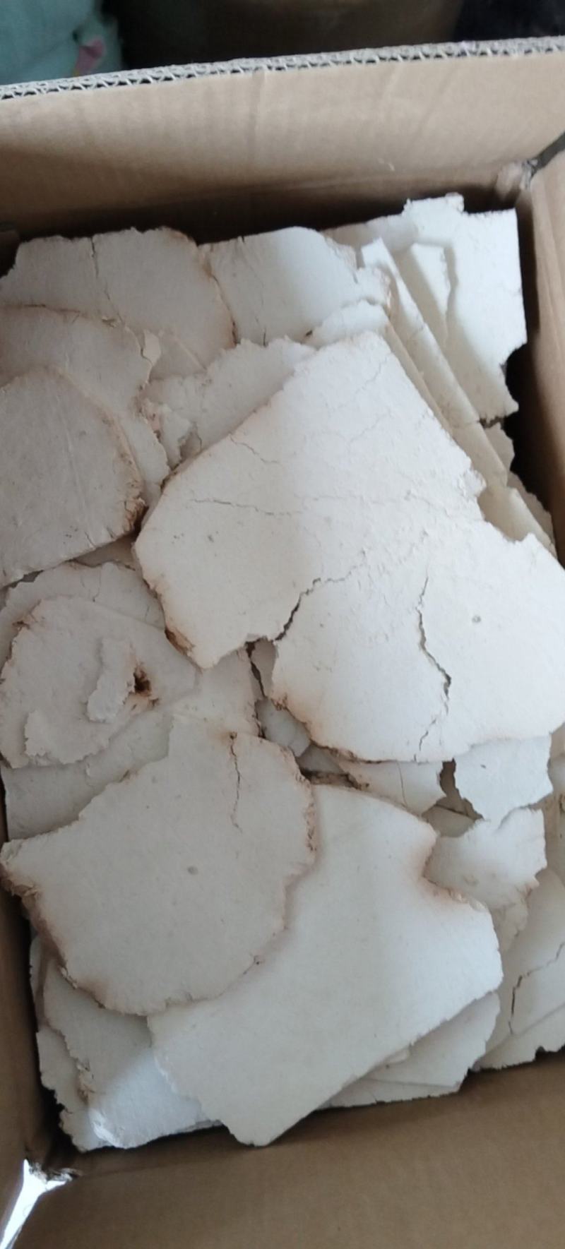 茯苓片
