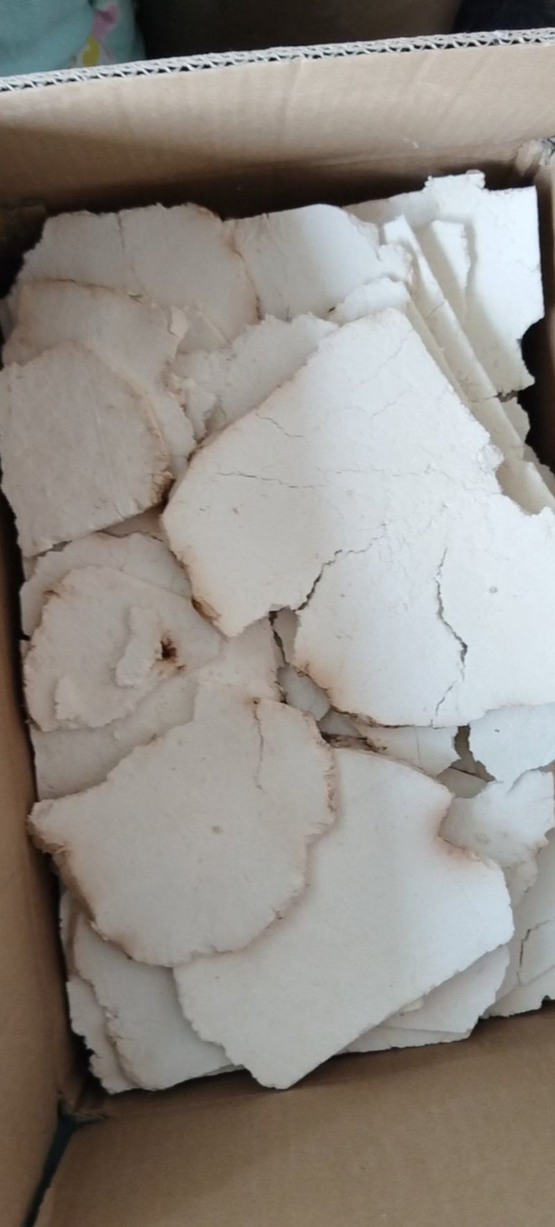 茯苓片