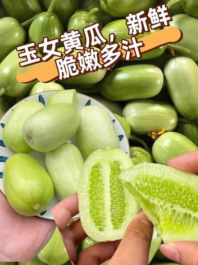玉女小黄瓜、对接电商平台、支持一件代发、社区团购、快手、