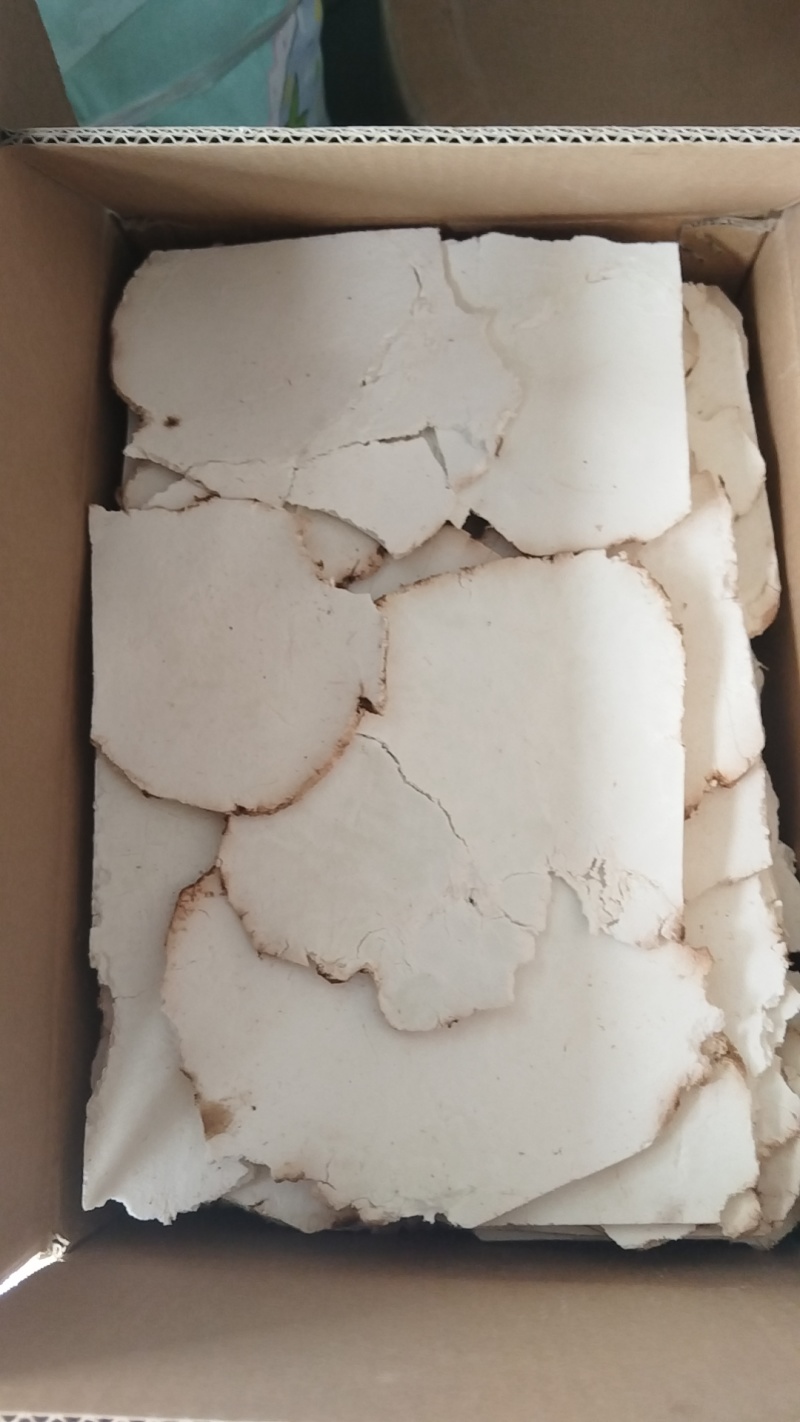 茯苓片