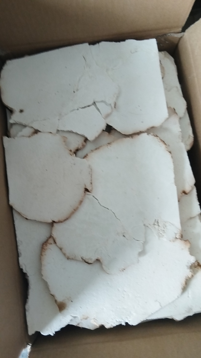 茯苓片