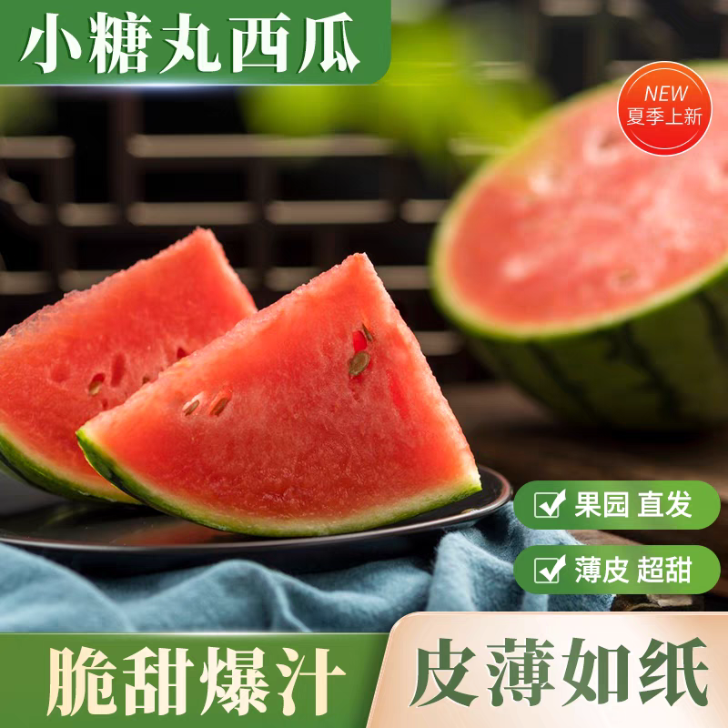 蒲城吊兰西瓜/938吊兰西瓜/小糖丸/小吊瓜/全国发货